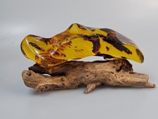 Ambra naturale, pietra unica, decorazione per la casa o l'ufficio, ge