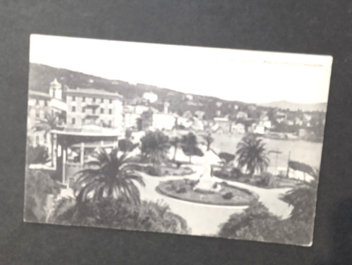 Margherita ligure - margherita,