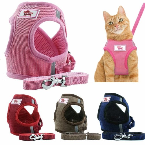 Gilet imbracatura rete