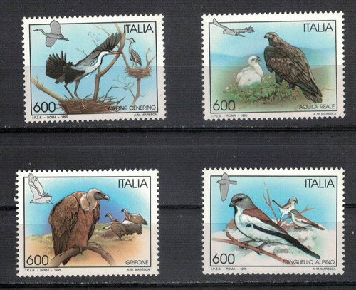 Uccelli airone cenerino - airone,