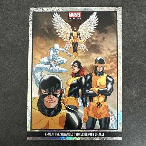 Men 152 500 carte - 152/500, panini