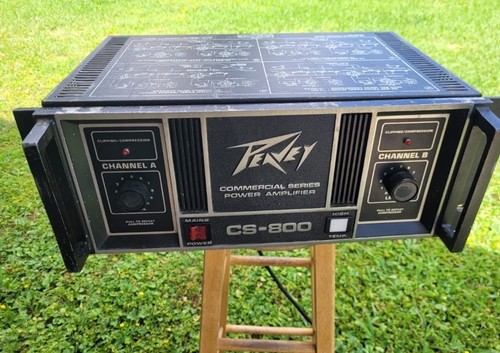 ⭐️Peavey
