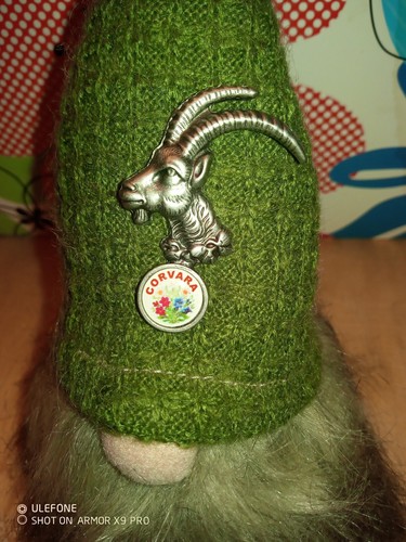 Pins spilla corvara - spilla, gadget
