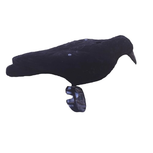 Esca corvo chiamante - esca,