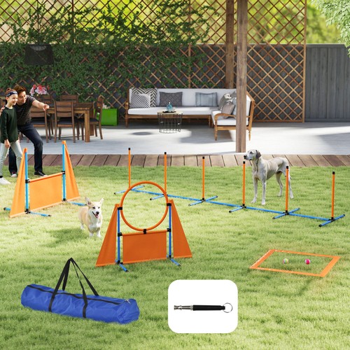 Attrezzatura agility per - agility, cani