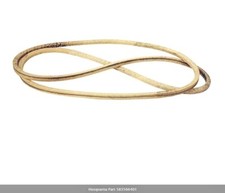 CINGHIA MOTORE TRATTORINO