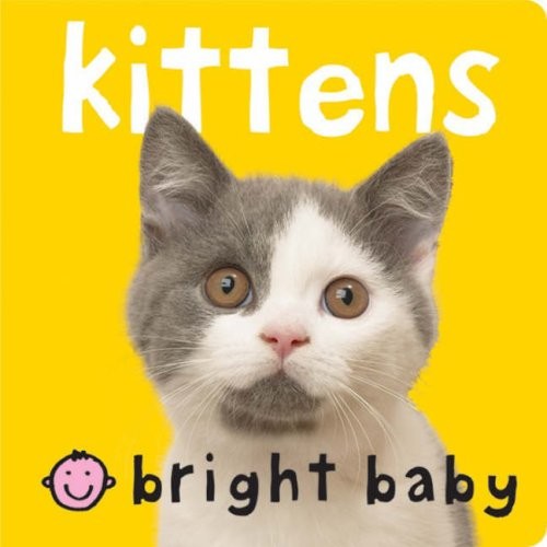 Kittens bright - kittens, (bright