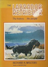 Labrador Retriever: The