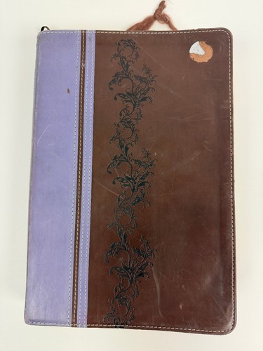 Holman rainbow study bible - bible, niv