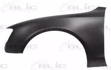 BLIC 6504-04-0038311P