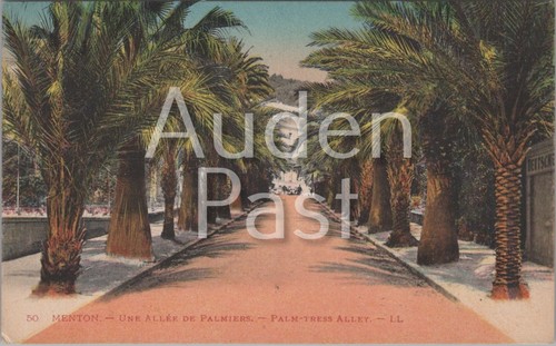 Vintage menton palm trees - vintage,
