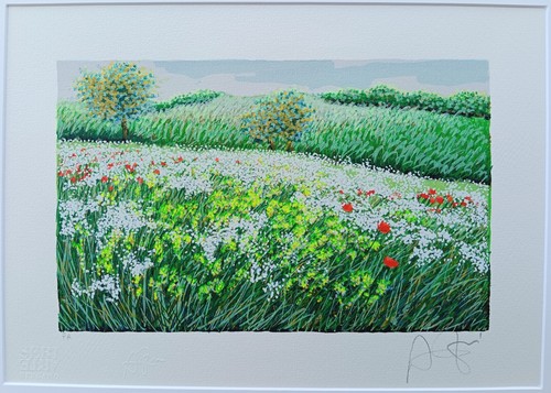 Franco azzinari serigrafia - franco,
