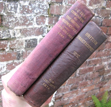 1867 British Pharmacopoeia /