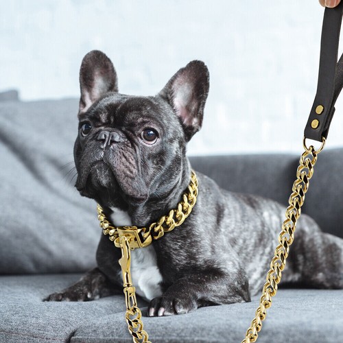 Guinzaglio per cani resistente