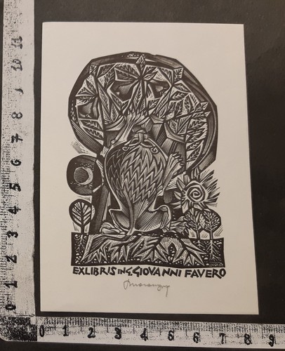 Wunderkammer exlibris 664 - l,