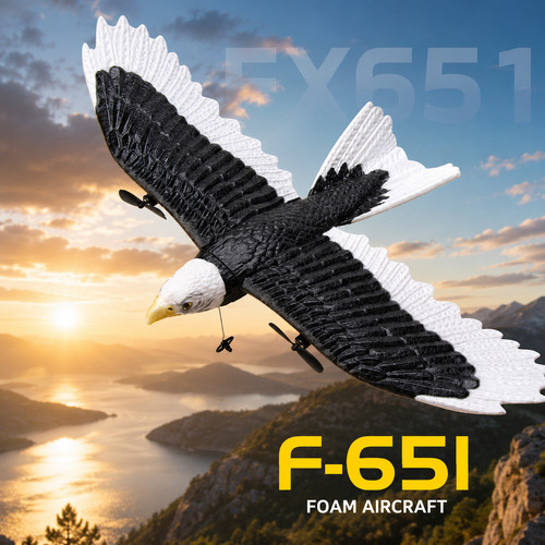 Fx651 eagle plane - rc, 2,4