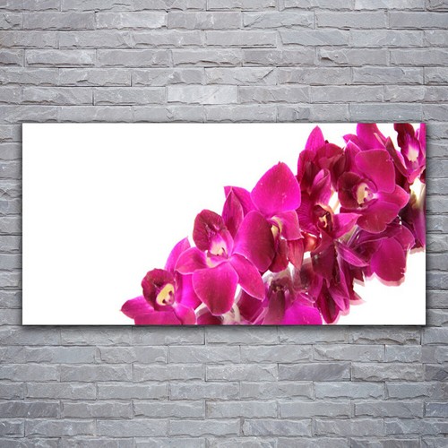 120x60 stampa tela - stampa,