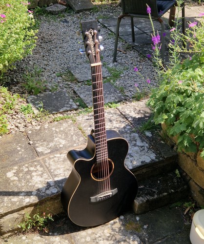 Blackbird tanglewood chitarra - tanglewood,