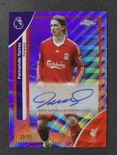 Fernando Torres Auto /75