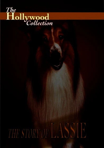 Hollywood collection the - hollywood,
