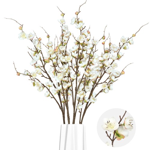 Pezzi rami fiori di - rami,