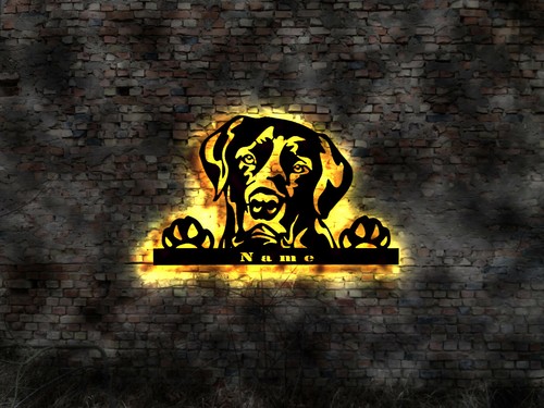 Quadro labrador golden - quadro,