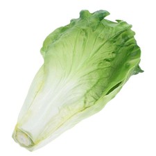  Foglie di lattuga finte