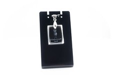 Chihuahua A Pelo Lungo -