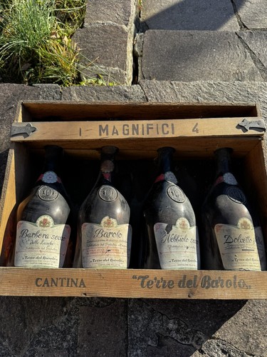 Magnifici terre del barolo - 4,