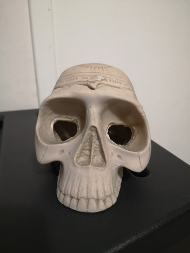 Teschio skull soprammobile - skull,
