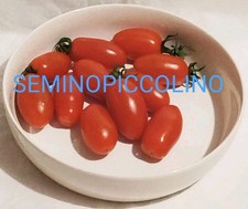 25 Semi Pomodoro Marzanino San