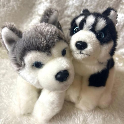 Regalo siberian husky peluche - husky,