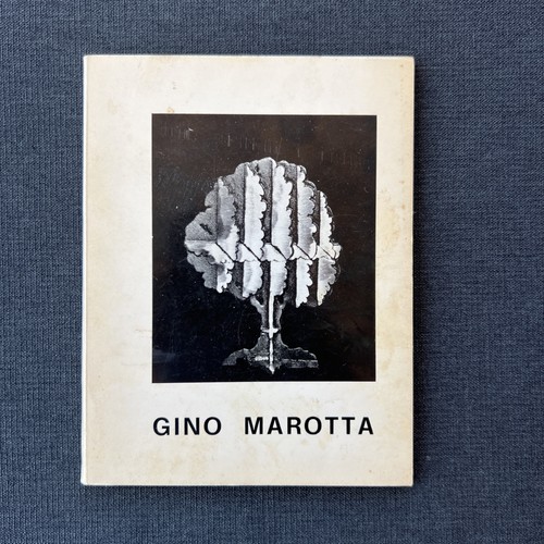 Gino marotta natura virtuale - gino,