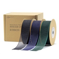 Nastro organza trasparente 1