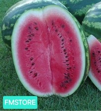 50 SEMI DI ANGURIA CRIMSON