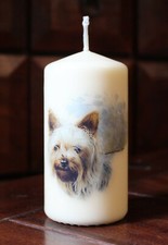 Candela candela fantasia CANI