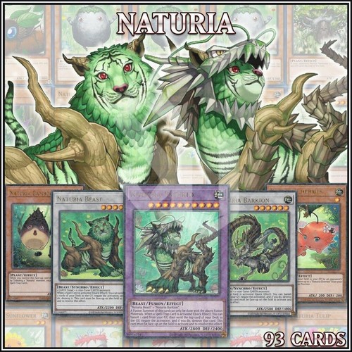 Yugioh mazzo completo naturia - yugioh,