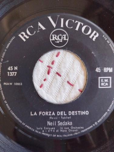 Neil sedaka notte è - notte,