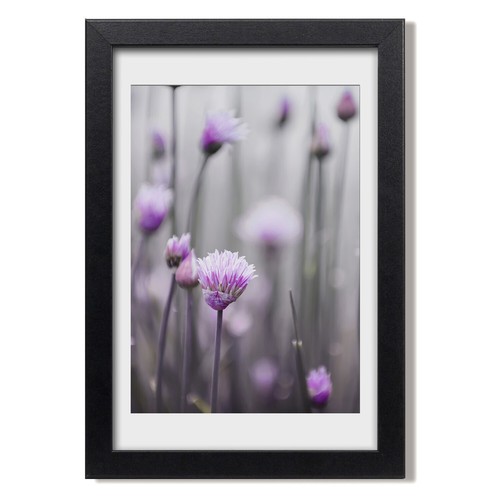 Quadro tulup mdf - quadro,