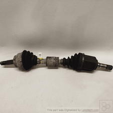 46308023 semialbero ant - semialbero,