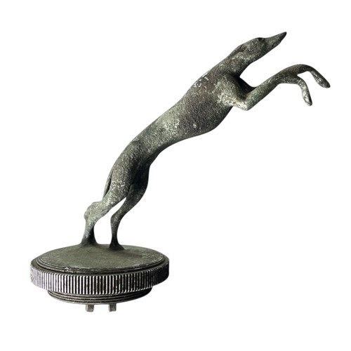 Ornamento radiatore frusta