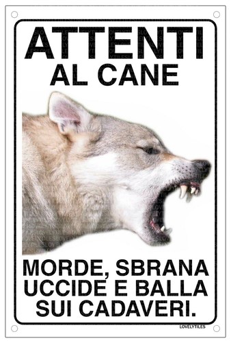 Cane lupo cecoslovacco - lupo,