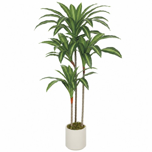 Homcom pianta finta dracena - homcom,