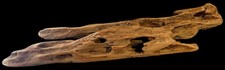 Beautiful! Natural Driftwood