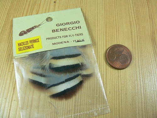 Piume selezionate giorgio - piume,