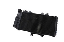 RADIATORE ACQUA BMW F 800 R