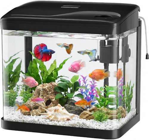 Acquario vetro 6 - acquario,
