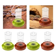 Mangiatoia Per Rettili