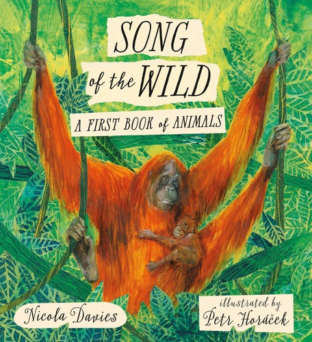 Song the wild - song, wild: