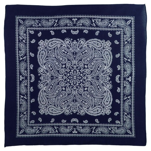 Bandana montana paisley - montana,